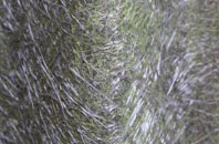 Stenscholl fibreglass roof work